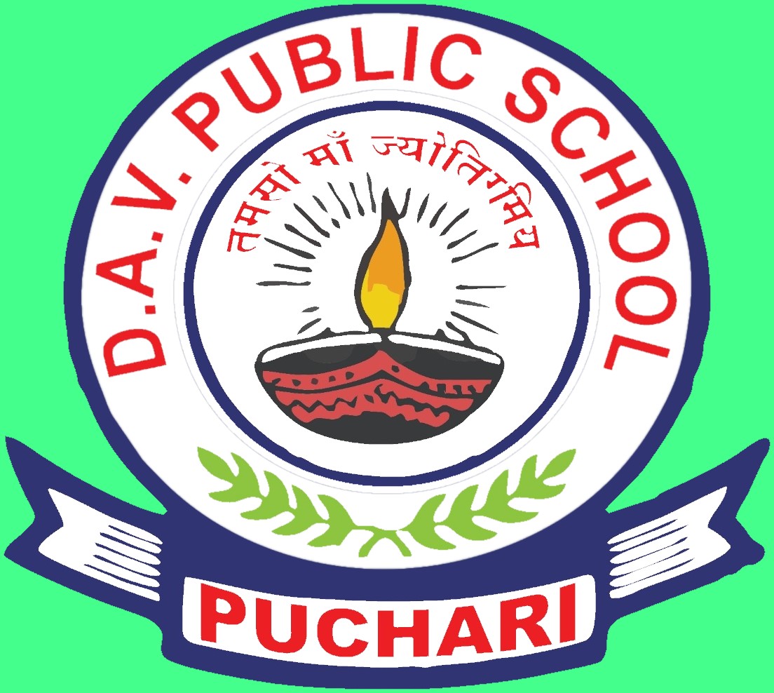 assignment of dav public school